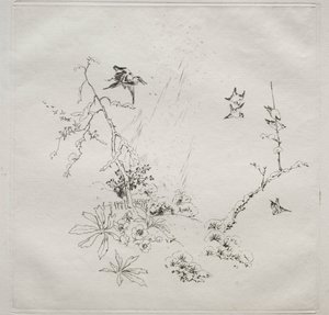 Parisian Service (Haviland service): Snow (nr 6) av Felix Bracquemond