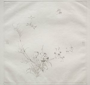 Parisian Service (Haviland service): Månen (nr 5) av Felix Bracquemond