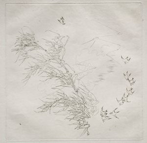 Parisian Service Haviland service: The Storm nr. 8, 1875. av Felix Bracquemond