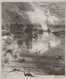 Svalor av Felix Bracquemond