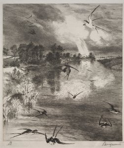 Svalor, 1882. av Felix Bracquemond