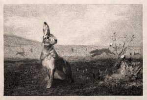 Haren efter A. de Balleroy, 1865. av Felix Bracquemond