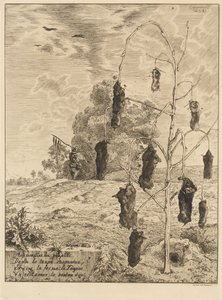 Mullvadarna av Felix Bracquemond