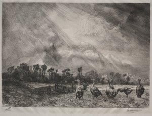 Stormmolnet av Felix Bracquemond