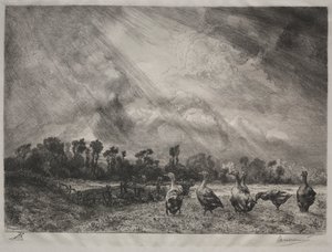 Stormmolnet, 1878-1887. av Felix Bracquemond