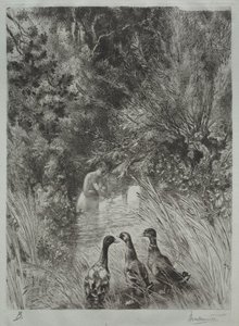 The Surprised Ducks. av Felix Bracquemond