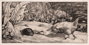 Det okända, 1862.