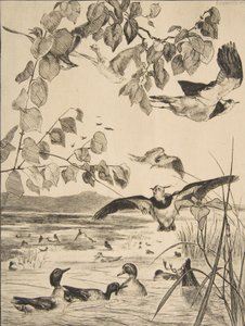 Vipor och Sarcelles, 1862. av Felix Bracquemond