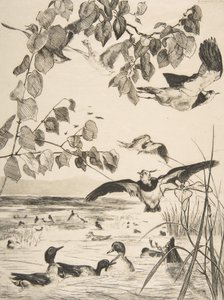 Vipor och Sarcelles, 1862. av Felix Bracquemond
