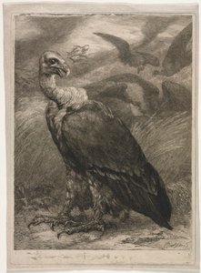 Gam av Felix Bracquemond