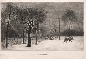 Vinter av Felix Bracquemond