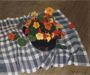Skål med Nasturtiums av Felix Edouard Vallotton