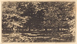 swedish av Felix Hilaire Buhot
