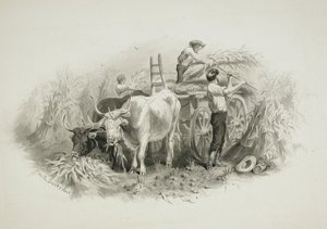Höskördsscen av Felix Octavius Carr Darley