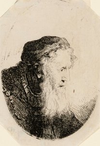 Gammal man med böljande skägg av Ferdinand Bol