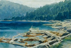 Šumava (från portföljen "16 vyer av tjeckiska landskap 