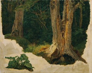 trädstudie av Ferdinand Georg Waldmuller