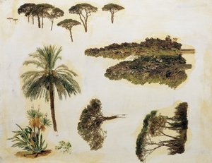 Trädstudier från Rom av Ferdinand Georg Waldmuller