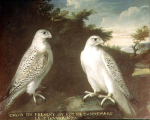 Ett par Gyrfalcons i ett landskap