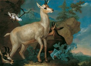  av Ferdinand Phillip de Hamilton