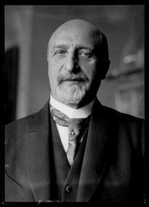 Bild av Karl Seitz (1869-1950) av Ferdinand Schmutzer
