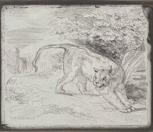 En instängd tiger, 1854. av Ferdinand Victor Eugene Delacroix