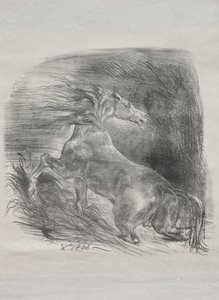 The Wild Horse, eller Frightened Horse Leaving the Water, 1828. av Ferdinand Victor Eugene Delacroix