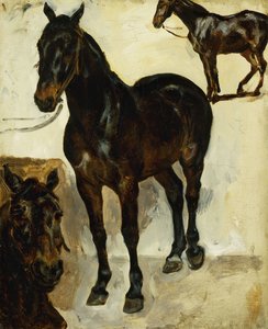 Tre studier av hästar; Tre studier av hästar, c.1823 av Ferdinand Victor Eugene Delacroix