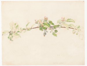 Gren av ett blommande äppelträd av Ferdynand Ruszczyc