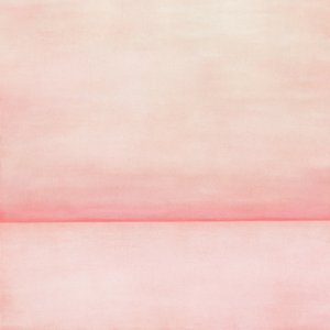 Mjuk rosa horisont av Fernando Vieira