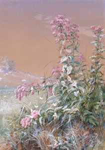 Utan titel, 1876.