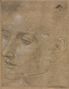 Chef för en ung man av Filippino Lippi