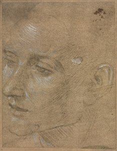 Chef för en ung man, andra hälften av 1400-talet. av Filippino Lippi