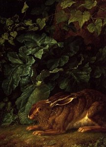 En hare i undervegetation av Filippo Hackert