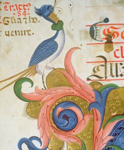 Missal 515 f.28v Fantastisk fågel med människohuvud stående i hörnet av en historisk initial, detalj från en körbok utförd före 1449 velängdetalj av 56724 av Filippo di Matteo Torelli