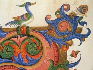 Missal 515 f.92v Zoomorft bladverk med ankliknande fågel och fjäril, dekorationsdetalj kring en historisk initial från en körbok utförd före 1449 veläng