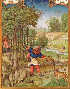 Fol.11v November månad: Skörda ekollon för grisarna och jakt, från Breviarium Grimani, c.1515 av Flemish School