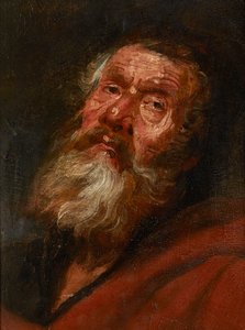 Huvudskiss av en apostel (olja på papper på duk, på ekpanel) av Flemish School