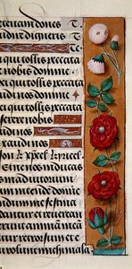 Ms. 1058-1975, f.120r: detalj av en blomkant från en timbok, ca 1500 (vellum) av Flemish School