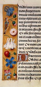 Ms. 1058-1975, f.22v: detalj av en blomkant från en timbok, ca 1500 (vellum) av Flemish School