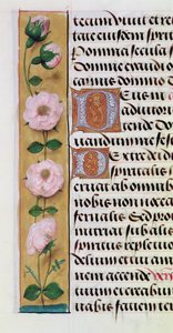Ms. 1058-1975, f.34v: detalj av en blomsterbård från en timbok, ca 1500. av Flemish School