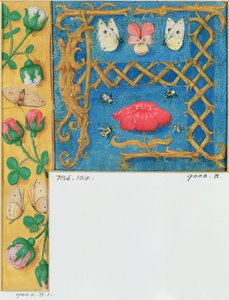 Ms 134 Upplyst bokstav `A och sidokant av blommor, från en timbok, ca 1500 av Flemish School
