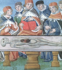 Ms Hunter 9 f.34r Dissection, från De Medina Fen I. II, av Avicenna (980-1037) av Flemish School