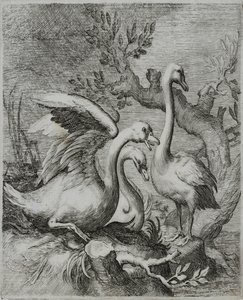 Gammal mästargravyr av Flemish School