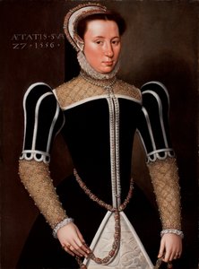 Portrait of a Woman, 1556  av Flemish School