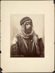 Beduinshejk av Palmyra av Félix Bonfils