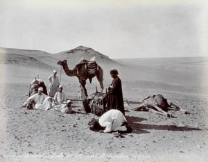 Egyptiska kamelerar under en paus i öknen. I förgrunden verkar två medlemmar i den lilla gruppen be