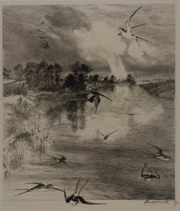 Svalor