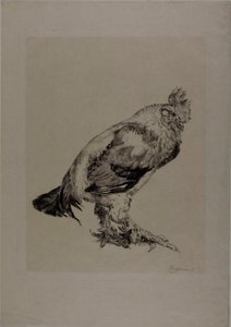 Den gamla kuken av Félix Henri Bracquemond