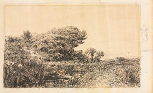 Edge of Marsh vid Couronne, 1863. av Félix Ziem